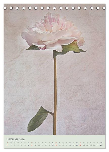 Produktbild: Flora (Tischkalender 2026 DIN A5 hoch), CALVENDO Monatskalender