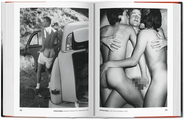 Produktbild: The Male Nude