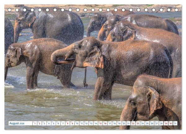 Produktbild: Sri Lanka, tropisches Inselparadies (Tischkalender 2026 DIN A5 quer), CALVENDO Monatskalender