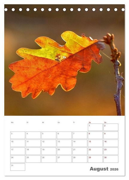 Produktbild: Planen mit dem Symbol der inneren St&auml;rke (Tischkalender 2026 DIN A5 hoch), CALVENDO Monatskalender