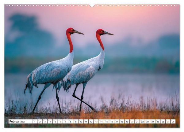 Produktbild: Mit den Kranichen kehrt das Licht in die Seele zur&uuml;ck (hochwertiger Premium Wandkalender 2027 DIN A2 quer), Kunstdruck in Hochglanz