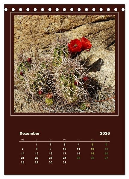 Produktbild: Wilde Kakteen Amerikas (Tischkalender 2026 DIN A5 hoch), CALVENDO Monatskalender