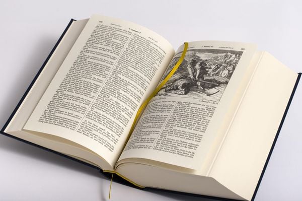 Produktbild: Die Bibel - Altes und Neues Testament nach Martin Luther. In Cabra-Leder gebunden mit Goldpr&auml;gung