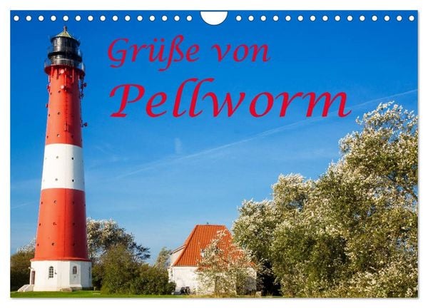 Produktbild: Gr&uuml;&szlig;e von Pellworm (Wandkalender 2026 DIN A4 quer), CALVENDO Monatskalender