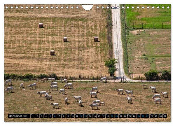 Produktbild: Die Etrusker &ndash; Hochkultur im antiken Italien (Wandkalender 2026 DIN A4 quer), CALVENDO Monatskalender