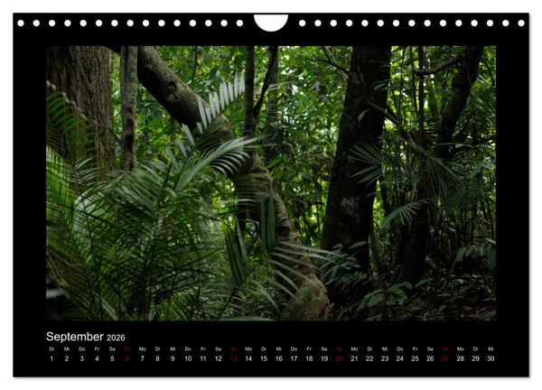 Produktbild: SUMATRA Abenteuer Regenwald (Wandkalender 2026 DIN A4 quer), CALVENDO Monatskalender