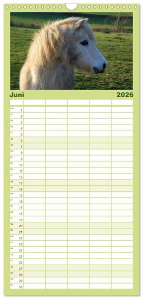 Produktbild: Familienplaner 2026 - Ponys. Herzensbrecher mit Grips mit 5 Spalten (Wandkalender, 21 x 45 cm) CALVENDO