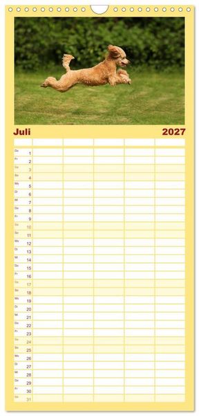 Produktbild: Familienplaner 2027 - Lockenw&ouml;lfe - Energieb&uuml;ndel Pudel mit 5 Spalten (Wandkalender, 21 x 45 cm) CALVENDO