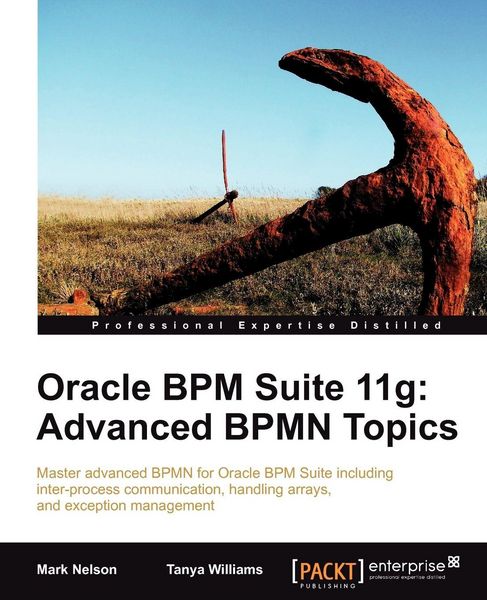 Produktbild: Oracle Bpm Suite 11g