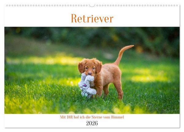 Produktbild: Retriever - Mit DIR hol ich die Sterne vom Himmel (Wandkalender 2026 DIN A2 quer), CALVENDO Monatskalender