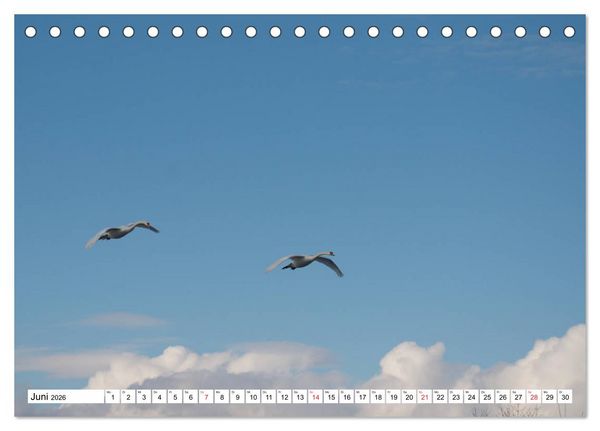 Produktbild: Zauberhaftes Mangfalltal (Tischkalender 2026 DIN A5 quer), CALVENDO Monatskalender