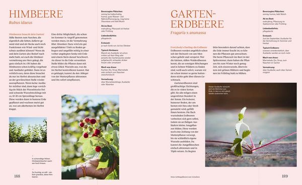 Produktbild: Wie du dein eigenes Saatgut gewinnst &ndash; und so ein kleines St&uuml;ck Welt rettest