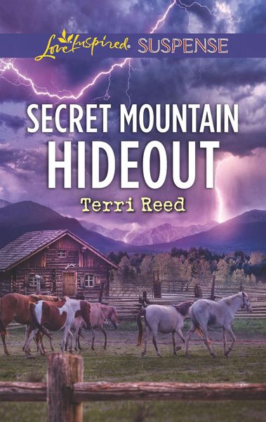 Produktbild: Secret Mountain Hideout
