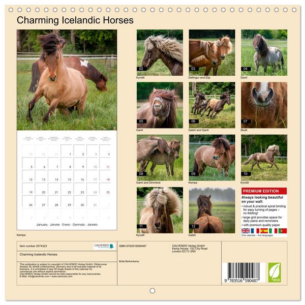 Produktbild: Charming Icelandic Horses (Wall Calendar 2026 12 &times; 12 Inch) CALVENDO 12 Month Wall Calendar