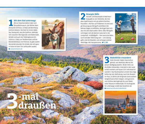 Produktbild: Harz