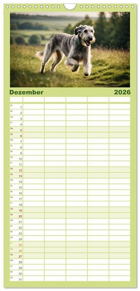 Produktbild: Familienplaner 2026 - Windhunde im Portrait mit 5 Spalten (Wandkalender, 21 x 45 cm) CALVENDO