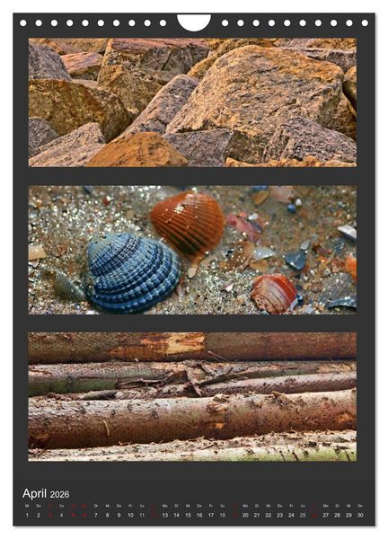 Produktbild: Naturfarben entdecken (Wandkalender 2026 DIN A4 hoch), CALVENDO Monatskalender