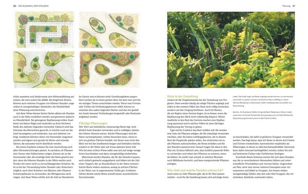 Produktbild: Immerbl&uuml;hende Beete