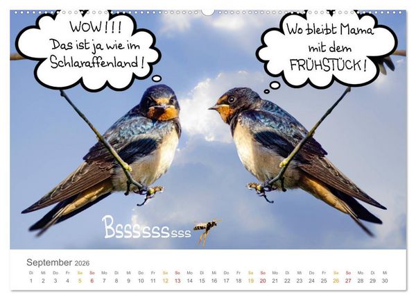 Produktbild: Wenn Schwalben reden (Wandkalender 2026 DIN A2 quer), CALVENDO Monatskalender