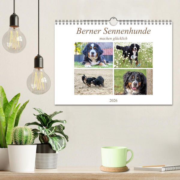 Produktbild: Berner Sennenhunde machen gl&uuml;cklich (Wandkalender 2026 DIN A4 quer), CALVENDO Monatskalender