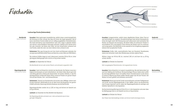Produktbild: Fisch echt einfach