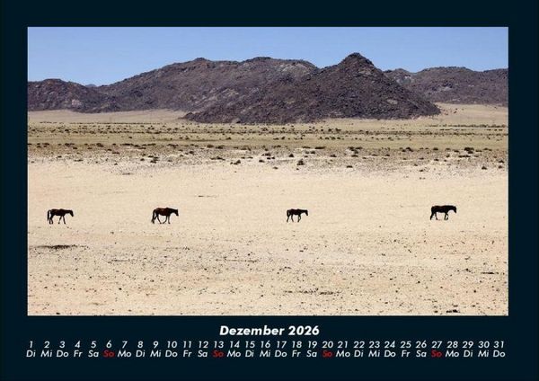 Produktbild: Pferdegefl&uuml;ster 2026 Fotokalender DIN A4