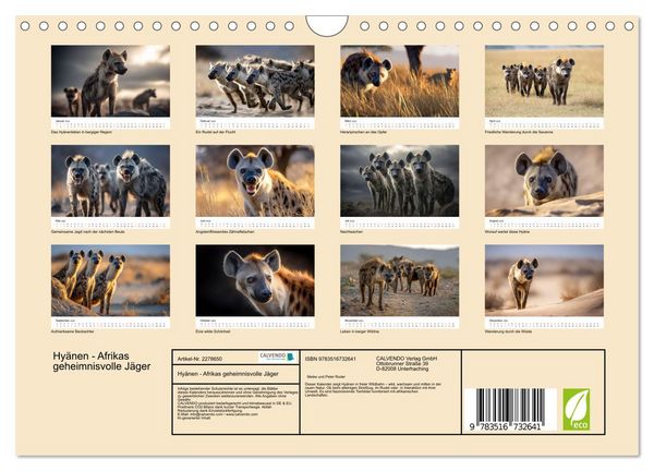Produktbild: Hy&auml;nen - Afrikas geheimnisvolle J&auml;ger (Wandkalender 2026 DIN A4 quer), CALVENDO Monatskalender