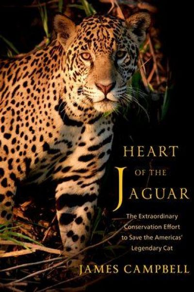 Produktbild: Heart of the Jaguar