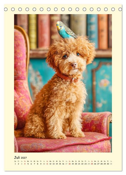 Produktbild: Pudelzauber. Flauschige Hunde f&uuml;r Herz und Seele (Tischkalender 2027 DIN A5 hoch), CALVENDO Monatskalender