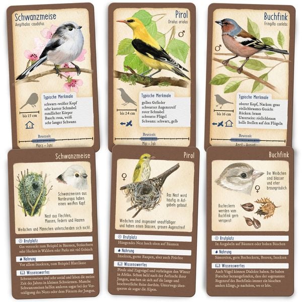 Produktbild: Tour durch die Natur - 50 heimische Singv&ouml;gel