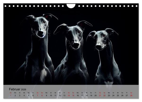 Produktbild: Black is beautiful (Wandkalender 2026 DIN A4 quer), CALVENDO Monatskalender