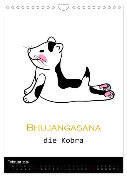 Produktbild: Yogakatzen - ganz entspannt im Hier und Jetzt (Wandkalender 2026 DIN A4 hoch), CALVENDO Monatskalender
