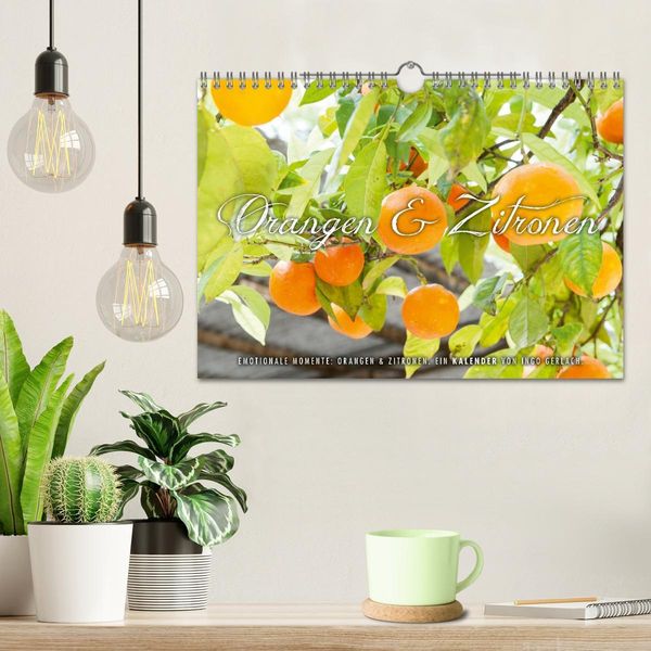 Produktbild: Emotionale Momente: Orangen & Zitronen. (Wandkalender 2026 DIN A4 quer), CALVENDO Monatskalender