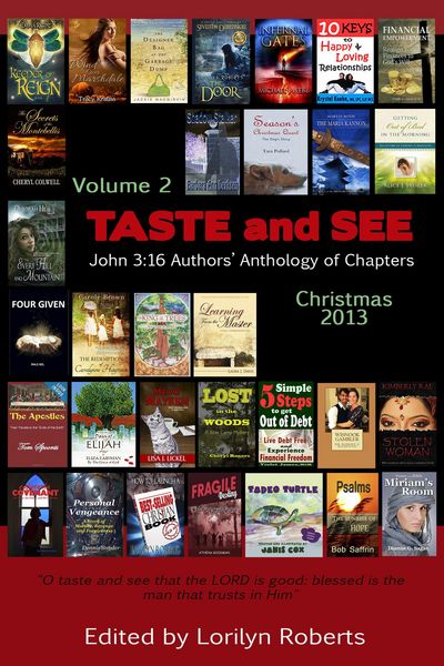 Produktbild: Volume 2, Taste and See, John 3:16 Authors' Anthology of Chapters