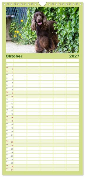 Produktbild: Familienplaner 2027 - English Cocker Spaniel - Fr&ouml;hliche Gesellen mit 5 Spalten (Wandkalender, 21 x 45 cm) CALVENDO
