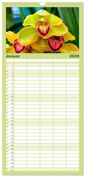 Produktbild: Familienplaner 2026 - Wunderbare Orchideen mit 5 Spalten (Wandkalender, 21 x 45 cm) CALVENDO
