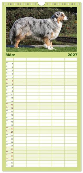 Produktbild: Familienplaner 2027 - Australian Shepherd - H&uuml;tehunde mit Familienanschluss mit 5 Spalten (Wandkalender, 21 x 45 cm) CALVENDO