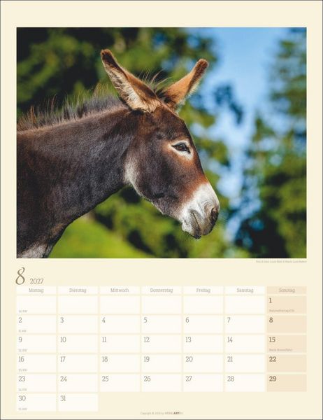 Produktbild: Esel Kalender 2027