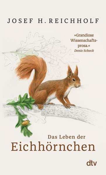 Produktbild: Das Leben der Eichh&ouml;rnchen