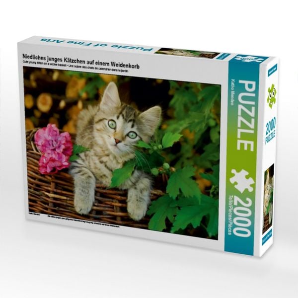 Produktbild: Niedliches junges K&auml;tzchen auf einem Weidenkorb (Puzzle)