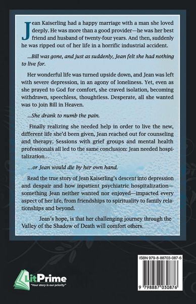 Produktbild: The Inpatient Years