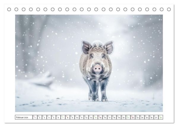 Produktbild: Naturparadies Wald (Tischkalender 2026 DIN A5 quer), CALVENDO Monatskalender
