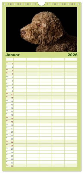 Produktbild: Familienplaner 2026 - Pudel mit 5 Spalten (Wandkalender, 21 x 45 cm) CALVENDO