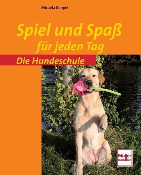Produktbild: Spiel und Spa&szlig; f&uuml;r jeden Tag