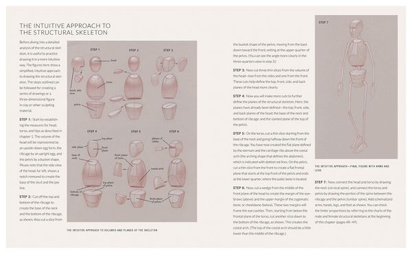 Produktbild: Basic Human Anatomy