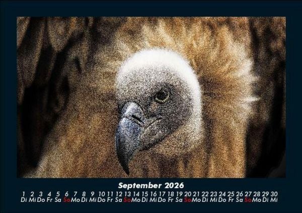 Produktbild: Vogelparadies 2026 Fotokalender DIN A5