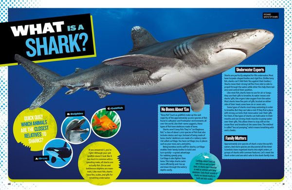 Produktbild: The Ultimate Book of Sharks