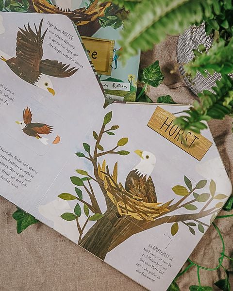 Produktbild: Mein Zuhause - Kaninchen, Fuchs und Adler