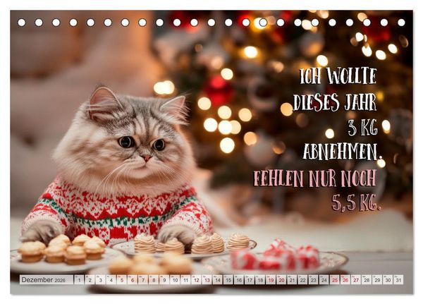 Produktbild: Katzenlogik - Wenn Blicke miauen k&ouml;nnten (Tischkalender 2026 DIN A5 quer), CALVENDO Monatskalender