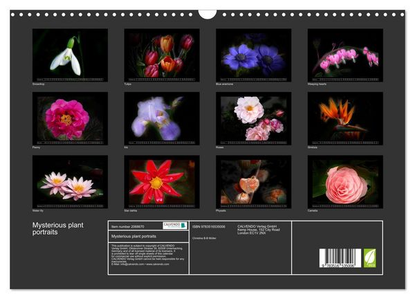 Produktbild: Mysterious plant portraits (Wall Calendar 2026 DIN A3 landscape), CALVENDO 12 Month Wall Calendar